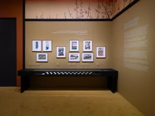 photo in situ des estampes japonaises dans l'exposition "Bonnard et le Japon" sur mur jaune