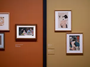 photo in situ de l'exposition "Bonnard et le Japon", mur divisé en deux couleurs avec estampes japonaises